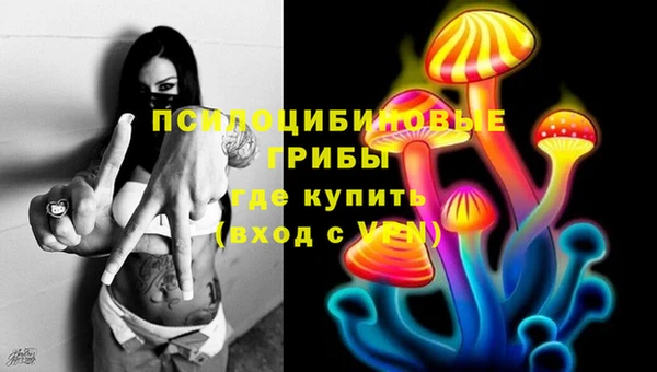 дмт Гусь-Хрустальный