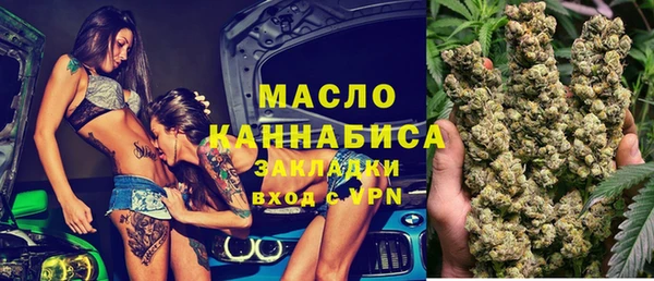 дмт Гусь-Хрустальный