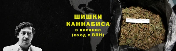 дмт Гусь-Хрустальный