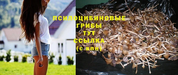 кокс Гусиноозёрск