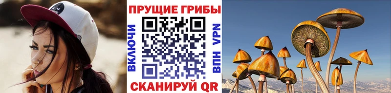 MEGA как зайти  дарнет шоп  Домодедово  Галлюциногенные грибы Psilocybine cubensis 